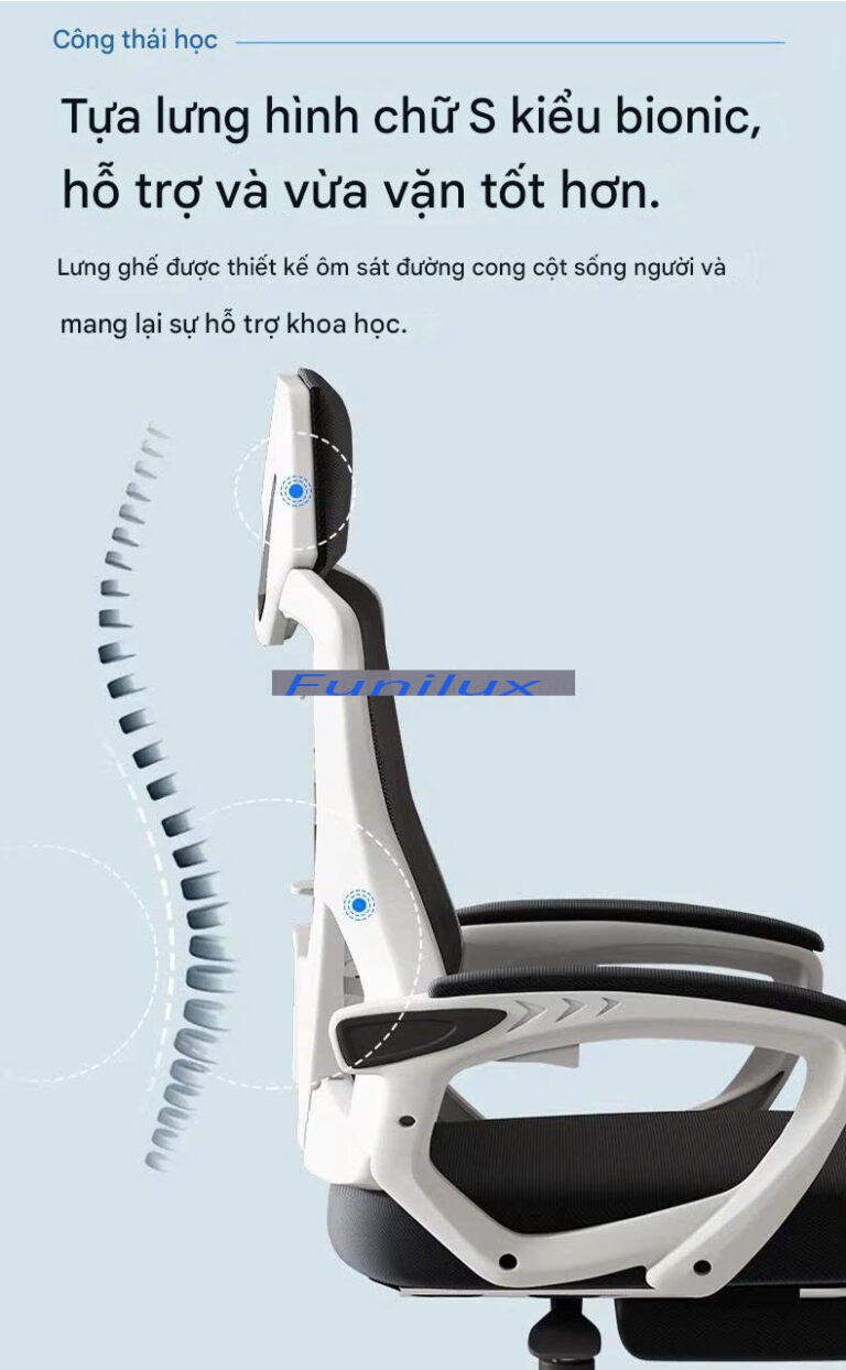 Ghe cong thai hoc JX 1603 3 768x1244 1