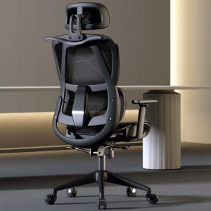 Ghế công thái học CTH608