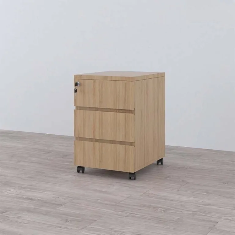 Top 5 Mẫu Tủ Hồ Sơ Văn Phòng Được Ưa Chuộng Nhất Tại TP.HCM 5 Top 5 Mẫu Tủ Hồ Sơ Văn Phòng Được Ưa Chuộng Nhất Tại TP.HCM