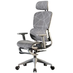 Ghế công thái học CTH608