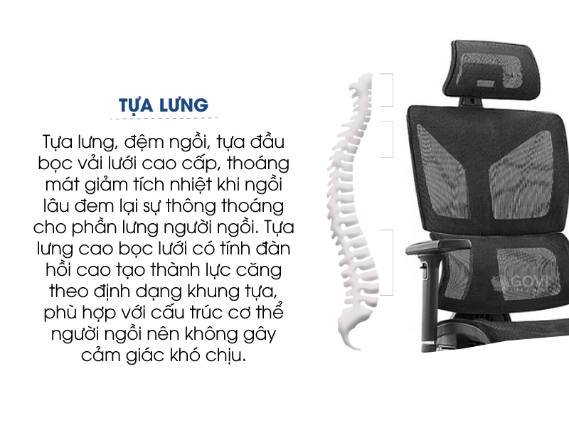 Ảnh mô tả sản phẩm - Ghế công thái học Ergonomic Pavo PL11