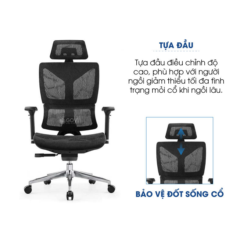 Ảnh mô tả sản phẩm - Ghế công thái học Ergonomic Pavo PL11