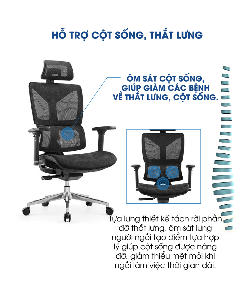 Ảnh mô tả sản phẩm - Ghế công thái học Ergonomic Pavo PL11