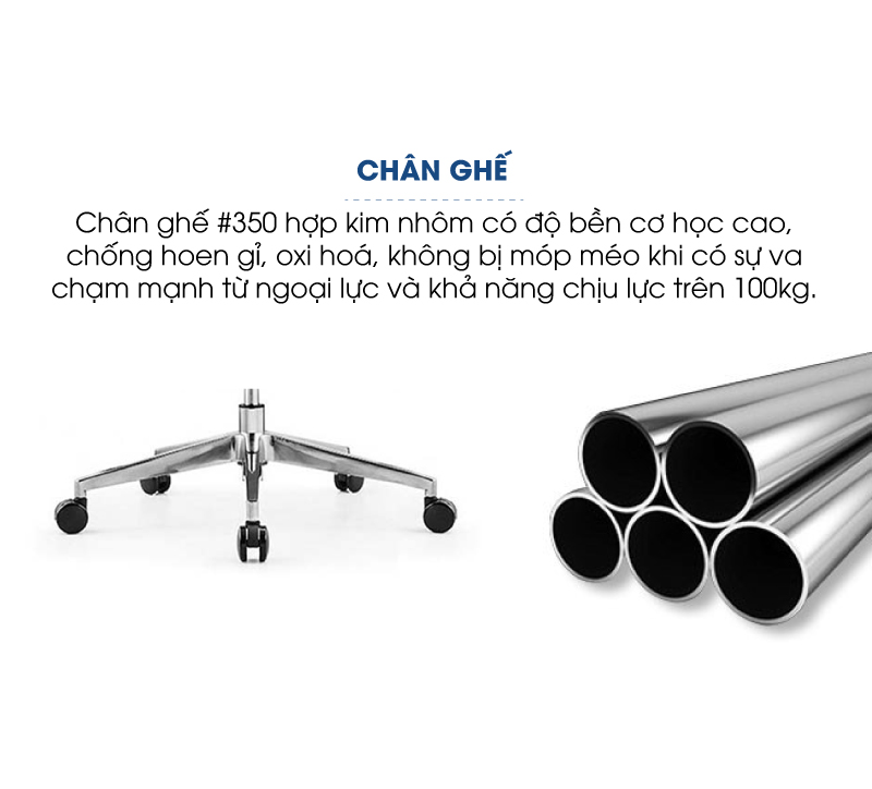 Ảnh mô tả sản phẩm - Ghế công thái học Ergonomic Pavo PL11