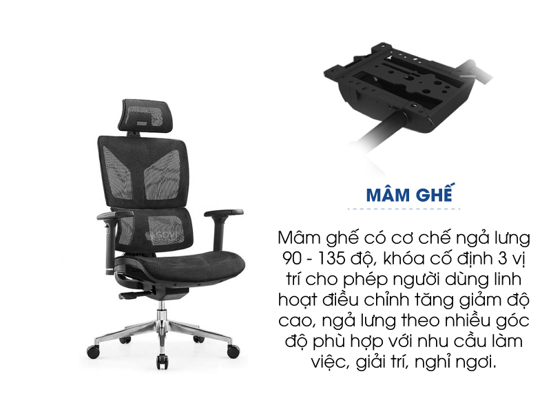 Ảnh mô tả sản phẩm - Ghế công thái học Ergonomic Pavo PL11