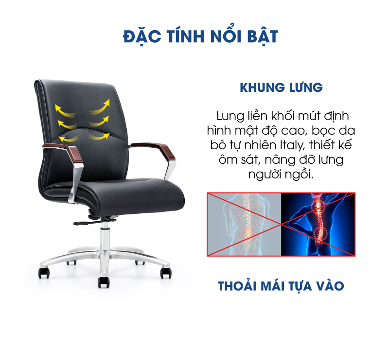 Ảnh mô tả sản phẩm - Ghế da Antlia AN-818B