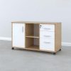 Ảnh sản phẩm Tủ phụ di động TP2-100