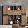 Ảnh sản phẩm Tủ lãnh đạo BT-24A