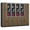 Ảnh sản phẩm Tủ tài liệu lãnh đạo Wido W-C24