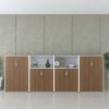 Ảnh sản phẩm Tủ tài liệu CL120-320